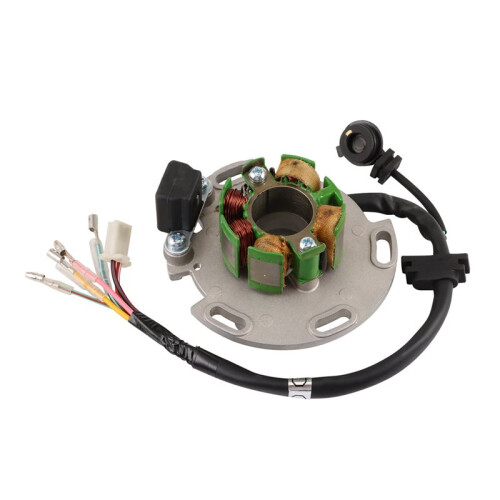 150cc Magneto Stator Rotor Flywheel for Daytona 150 190 Engine Motor