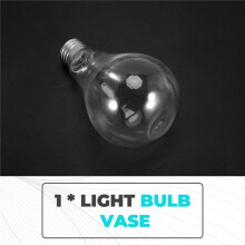 Transparent Glass Bulb Shape Table Vase for Plants Flowers Home Garden Wedding Decoration