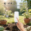 Tuya Zigbee Soil Tester Sensor Soil Moisture Sensor Temperature Meter Humidity Sensor Gardening Moisture 5