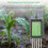 Soil PH Meter Moisture Tester Soil Analyzer for Android USB  Garden Soil Nutrient Sensor for Greenhouse Home Farmer 6