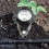 2X Long Probe Deep Soil PH Moisture Meter 2 in-1 Tester-Professional Test Hygrometer 5