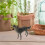Figure Loup Décorative Plastique Enfant 6
