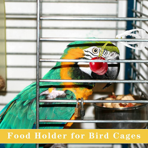 12Pcs Vegetable Clip for Birds Bird Cage Feeder for  Vegetable and Fruit Feeding 1
