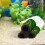 6 Pcs Brown Ceramic Shelters - Shrimp , Breeding Tube, Hiding Cave 4