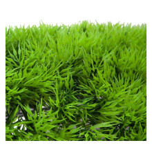 3X Artificial Fake Water Aquatic Green Grass Plant Lawn Aquarium Landscape