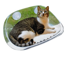 Kattenbed Zuignap Hangende Schommel Verwijderbare Vensterbank Glazen Hangend Bed Huisdierbenodigdheden Transparant-Wit