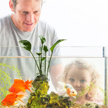 3X JardinièRe D'Aquarium - Support de Plante D'Aquarium Suspendu Tasses de Plantes Aquatiques en Acrylique Support de Plante D'Aquarium Pots de