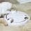 2X Pounce Cat Toy, Interactive Automatic Toy Adjustable Electronic Battery Operated Toy 5