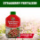 Vitax Vitax Organic Strawberry Fertiliser 1L Liquid 13