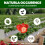 Vitax Vitax Organic Strawberry Fertiliser 1L Liquid 5