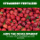 Vitax Vitax Organic Strawberry Fertiliser 1L Liquid 6