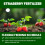 Vitax Vitax Organic Strawberry Fertiliser 1L Liquid 8
