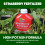 Vitax Vitax Organic Strawberry Fertiliser 1L Liquid 10