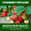 Vitax Vitax Organic Strawberry Fertiliser 1L Liquid 11