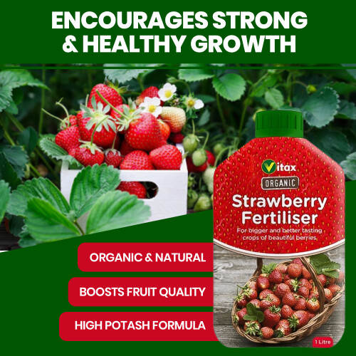 Vitax Vitax Organic Strawberry Fertiliser 1L Liquid 2