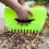 2 Pcs Leaf Scoop Fallen Leaves Grabber Dead Branches Claw Plastic Hand Rake 8
