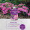 Vitax Vitax Ericaceous Feed 1L Liquid Concentrated 7