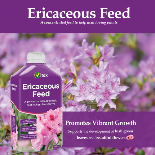 Vitax Vitax Ericaceous Feed 1L Liquid Concentrated 2