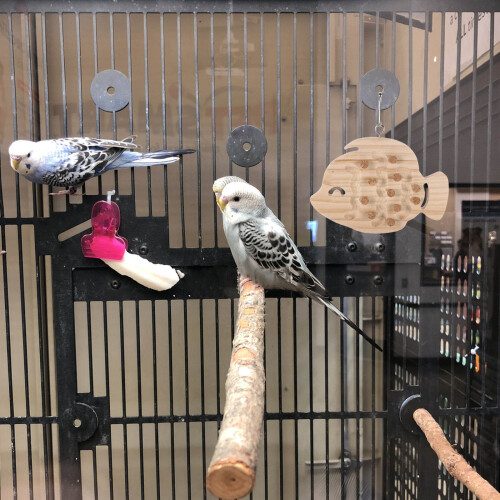 Perchoir En Bois Multifonction Pour Cage D'oiseau 2