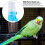 Thickened Clear Parrot Water Dispenser 100ml 5