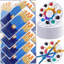264-Teiliges Pinsel- und Paletten-Set, 24er-Pack mit Je 240 Pinseln, 24 Farbwannen, Künstler-Acrylpinsel