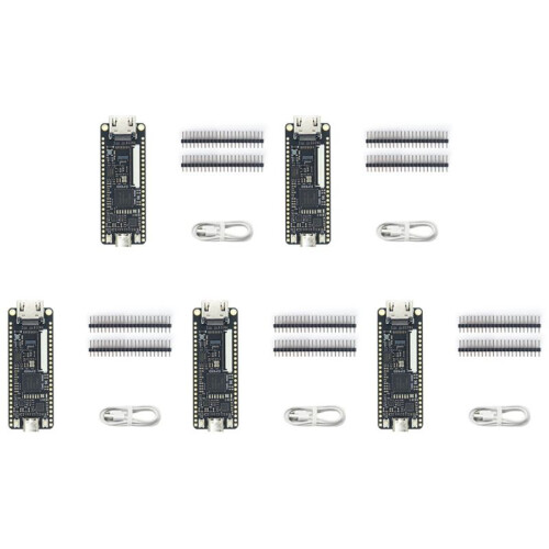 5X Tang  9K FPGA Development Board GOWIN GW1NR-9 RISC-V HDM Kit