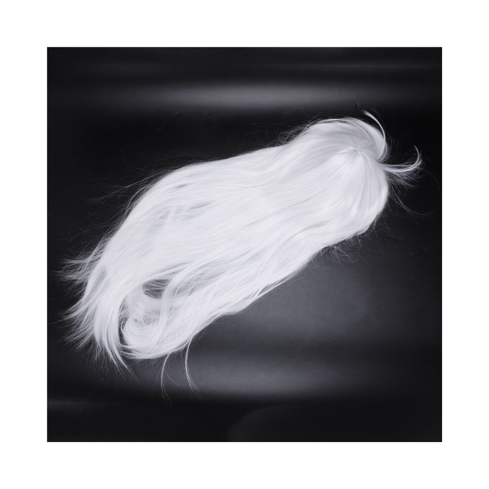 Tlily 3X Anime Long Straight Hair Wig Cosplay Long Straight Costume, White