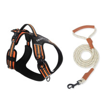 Duomm Harnais pour Chien Gilet pour Grandes Races - Réglable, Ajustement Confortable pour Pitbull, Berger, M