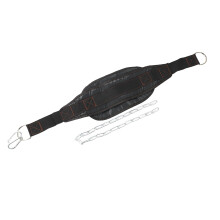 Equipamento de Fitness Cinto de Peso GináStica Profissional Pull-Ups Barbell Tablets Pesos Haltere Cinto de Levantamento de Peso Cinto de Carga de