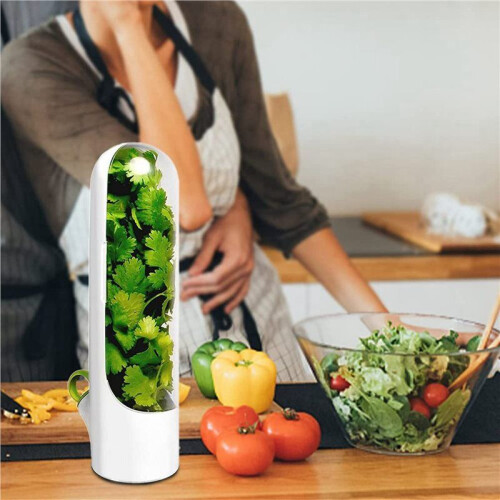 4PCS Capsule Case Fresh-Keeping Box Cup Type Food Storage Container Vegetable Preservation for Dill Coriander 2