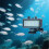Diving Light High Power Dimmable Waterproof Video Light Light Diving Underwater Light for  Max Hero Series 7