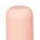 Toothbrush Cup Pink 19.5x6x5.5 cm Ample Capacity 6