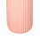 Toothbrush Cup Pink 19.5x6x5.5 cm Ample Capacity 4