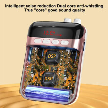 Voice Amplifier Wireless for Teachers Long Battery Life Adjustable Strap for Teaching Trainers Singers Rose Gold