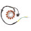 5X Coil 12 Pole Stator  Coil Ignition Stator for GY6 125Cc 150Cc 2
