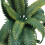 4St Mini Plastic Groen Voor Micro Landschap En Zandtabel 9