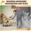 Cat Wrestling Glove, Cats Puppet Wrestler with  Padding for Safe Interactive , for Boredom Busting Training 4