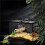 Intelligent Reptile Terrariums Humidifier Electronic Timer Automatic Mist Rainforest System Kit Sprinkler Control US 1