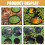 4Sets Aquarium Schwimmende Pflanzenringe Eva Fischfutter Ringe 11