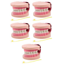 5Pcs Compact Plastic Toy for Kids Science Lab and Education
