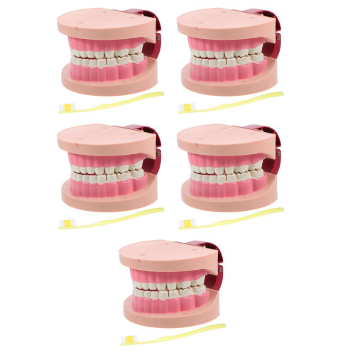5Pcs Compact Plastic Toy for Kids Science Lab and Education