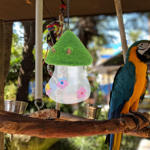 4Stk Hummingbird Bird Feeder Plastik Bunt Mit Einfacher Befüllung 2
