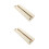 2Stk Holz Schmetterlingsflügel Für Experiment 1