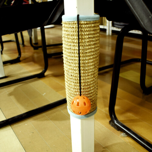 Griffoir Chat En Sisal Durable 2