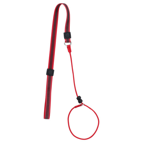 Laisse De En Polyester Anti-Tangle Pour