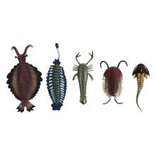 25Pièces Décor Animaux Multicolores Jouet Éducatif Enfant