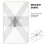 Trancheur Pizza Fine Acier Diviseur Part Uniforme 8