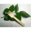 300Pièces Ustensiles Bois Beige Usage Cuisine Barbecue 8