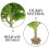 Green Simulation Mini Trees for Model Railroad Scenery 4