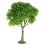 Green Simulation Mini Trees for Model Railroad Scenery 6
